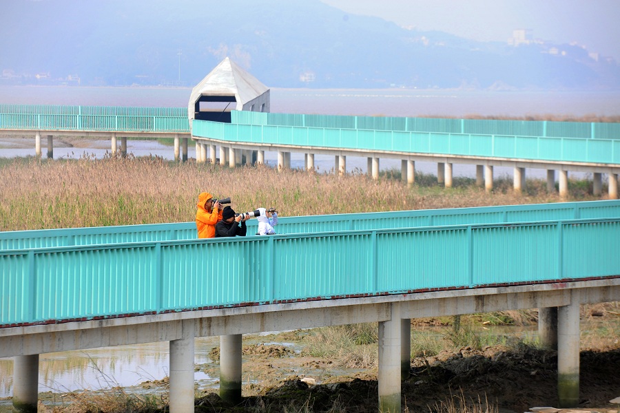 长乐闽江河口国家湿地公园