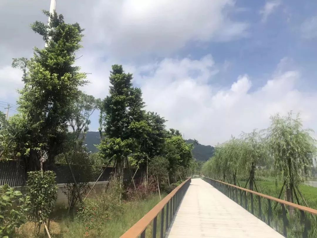 长乐这座大型公园呼之欲出，金强TKK栈道板功不可没