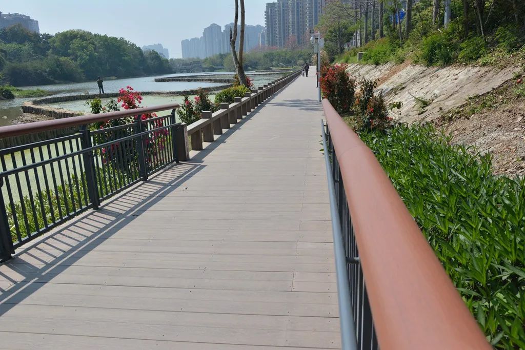 漫步城市公园 欣赏隐藏在闹市中的秘境